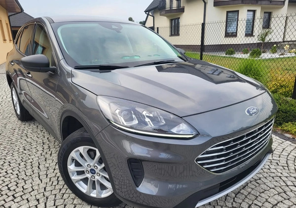 Ford Kuga cena 81500 przebieg: 38000, rok produkcji 2021 z Tarnów małe 529